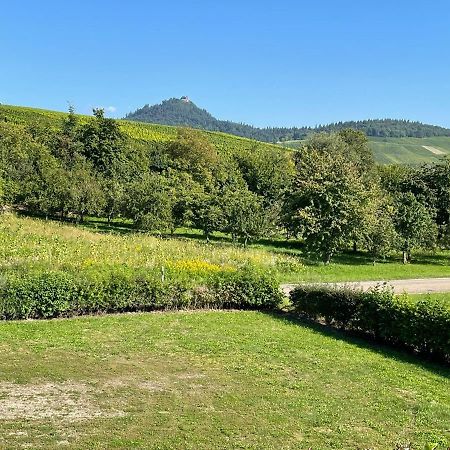Ferienwohnung Reblandblick Baden-Baden Esterno foto