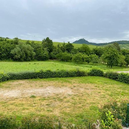 Ferienwohnung Reblandblick Baden-Baden Esterno foto